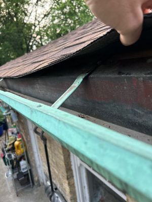Turtle Shell gutter protection installation in Oak Park, IL 60302, photograph 11