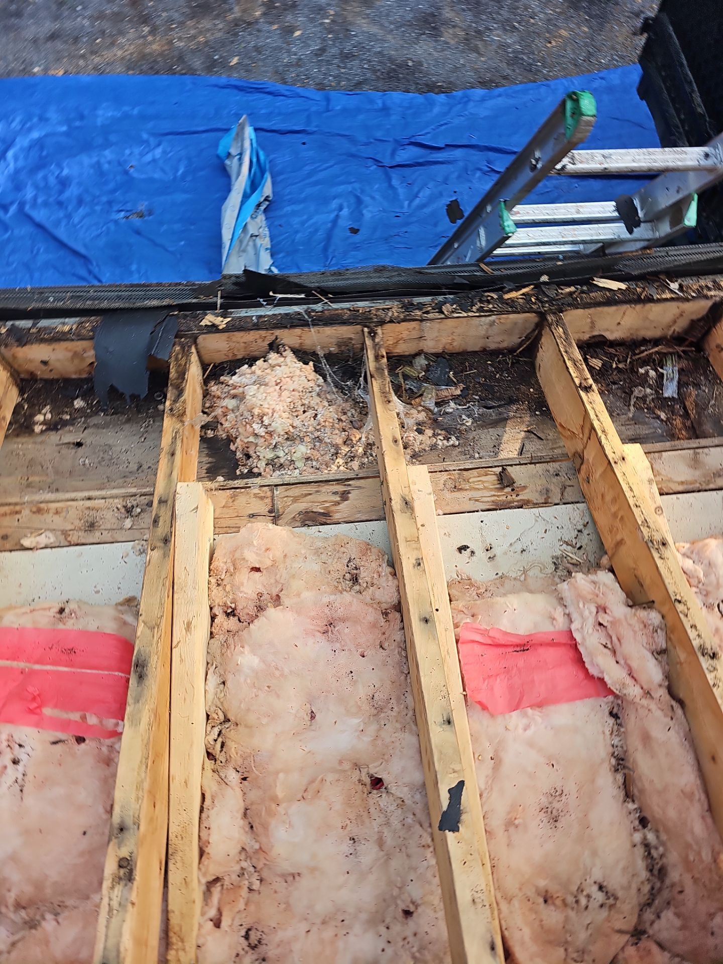 Roof Replacement - Shenandoah by Winchester Roofing