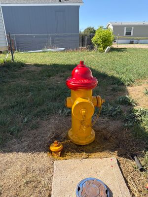 Project in Cheyenne