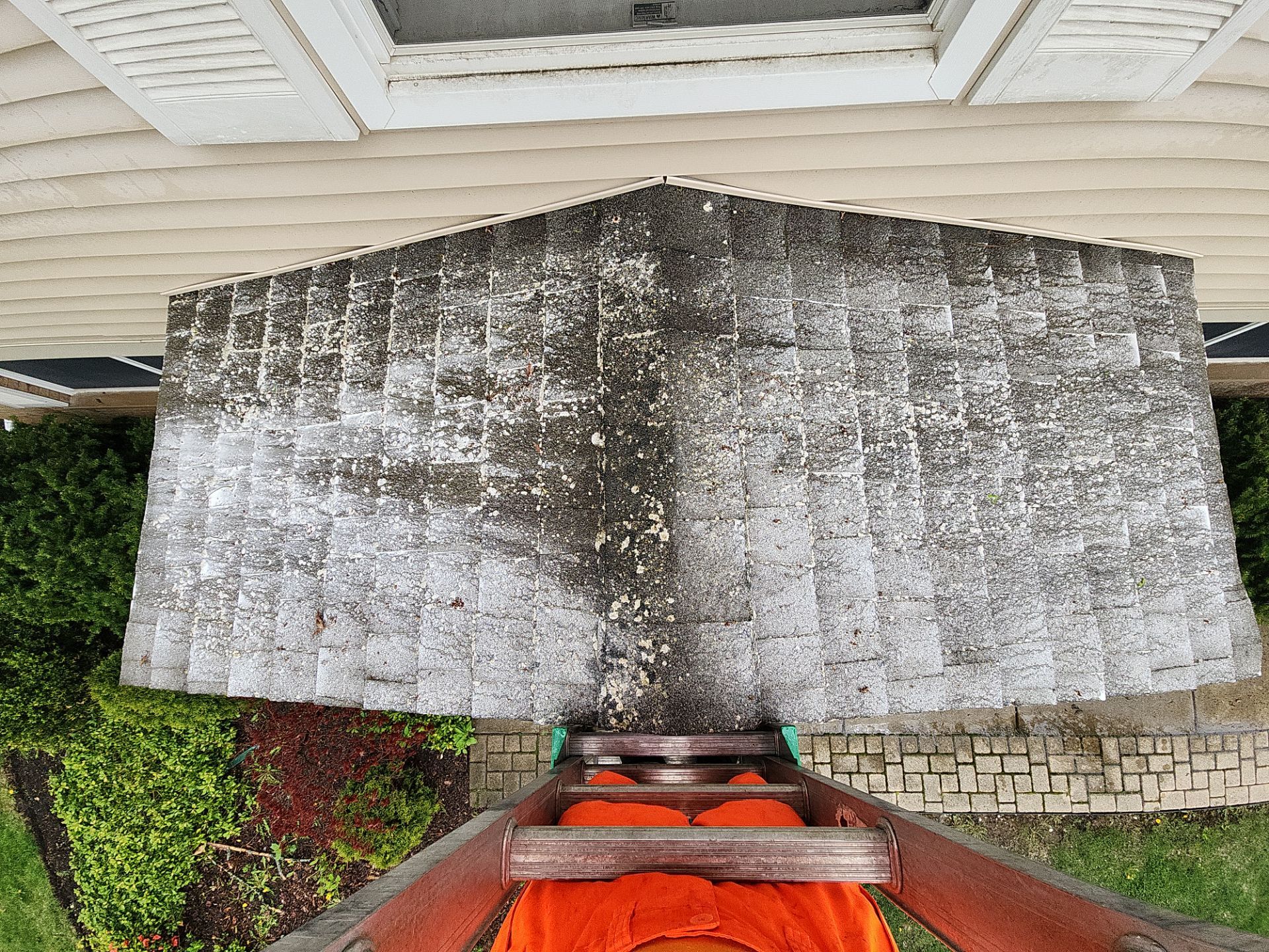 roof washing using Algaecide, soft wash soap by Northern Power Washing LLC.