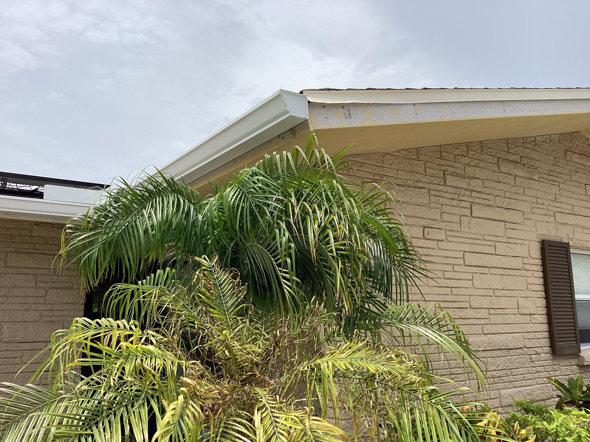 6-Inch Seamless Gutter Installation in Sarasota FL by Gutter Professor by Gutter Professors