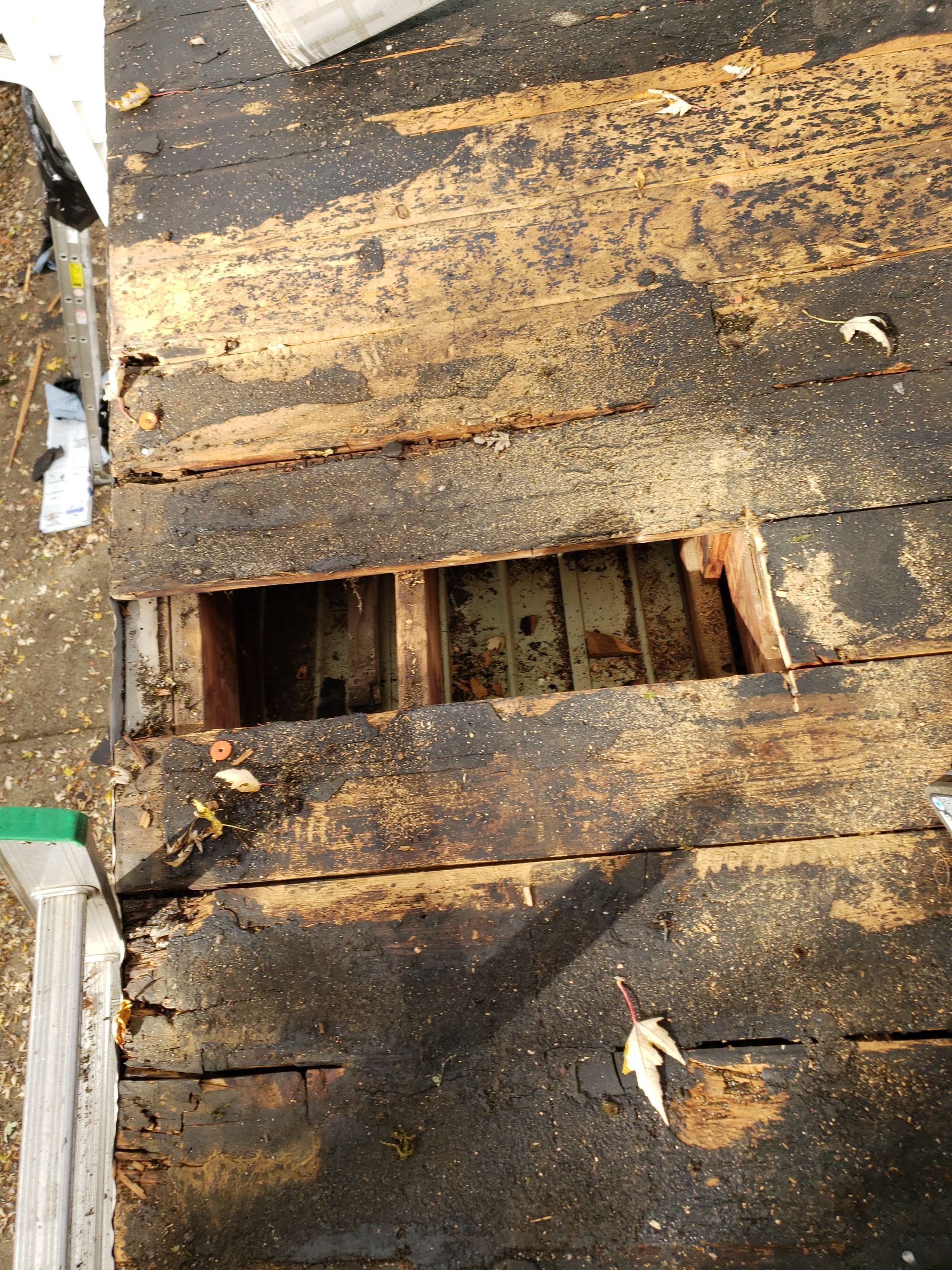 ATLAS PINNACLE COLOR: SCOTCHGARD COASTAL GRANITE DRIP EDGE: WHITE by Eagle Eye Roofing