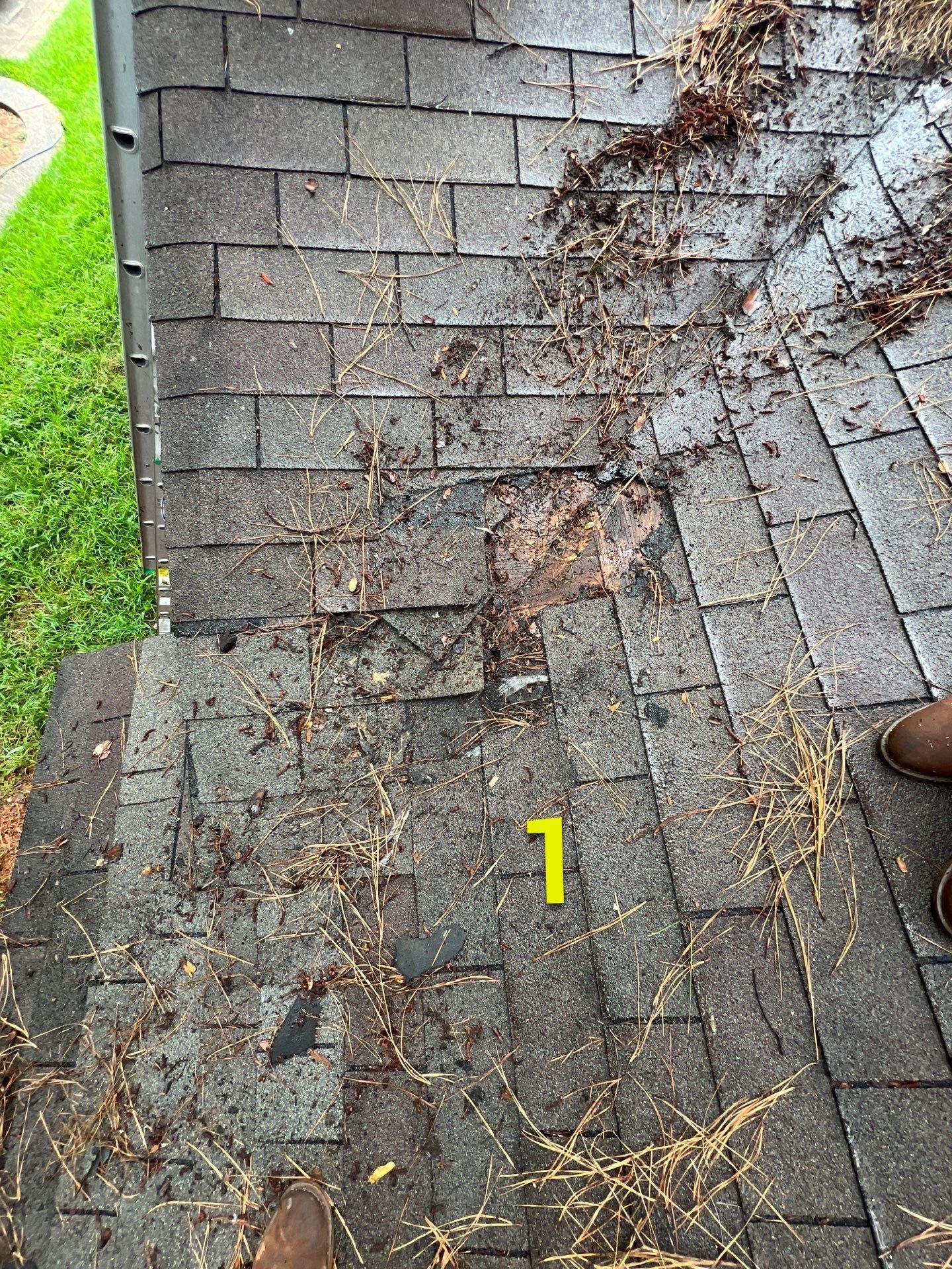 Roof Repair Spring by Roof Repair Company