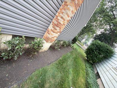 Donna L. - Arlington Heights, IL