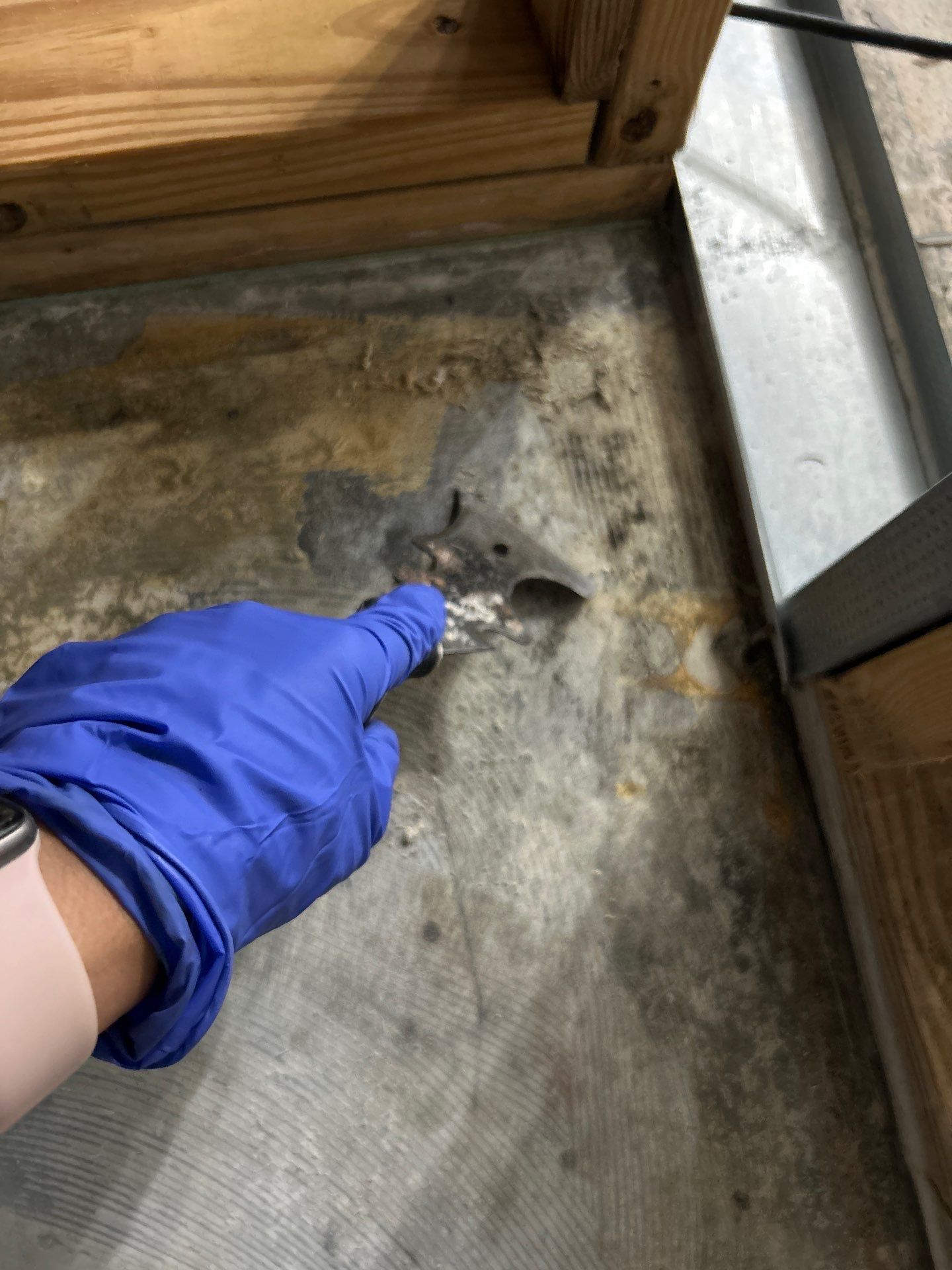 Stansell - water and mold photos  by THE RAPID TEAM