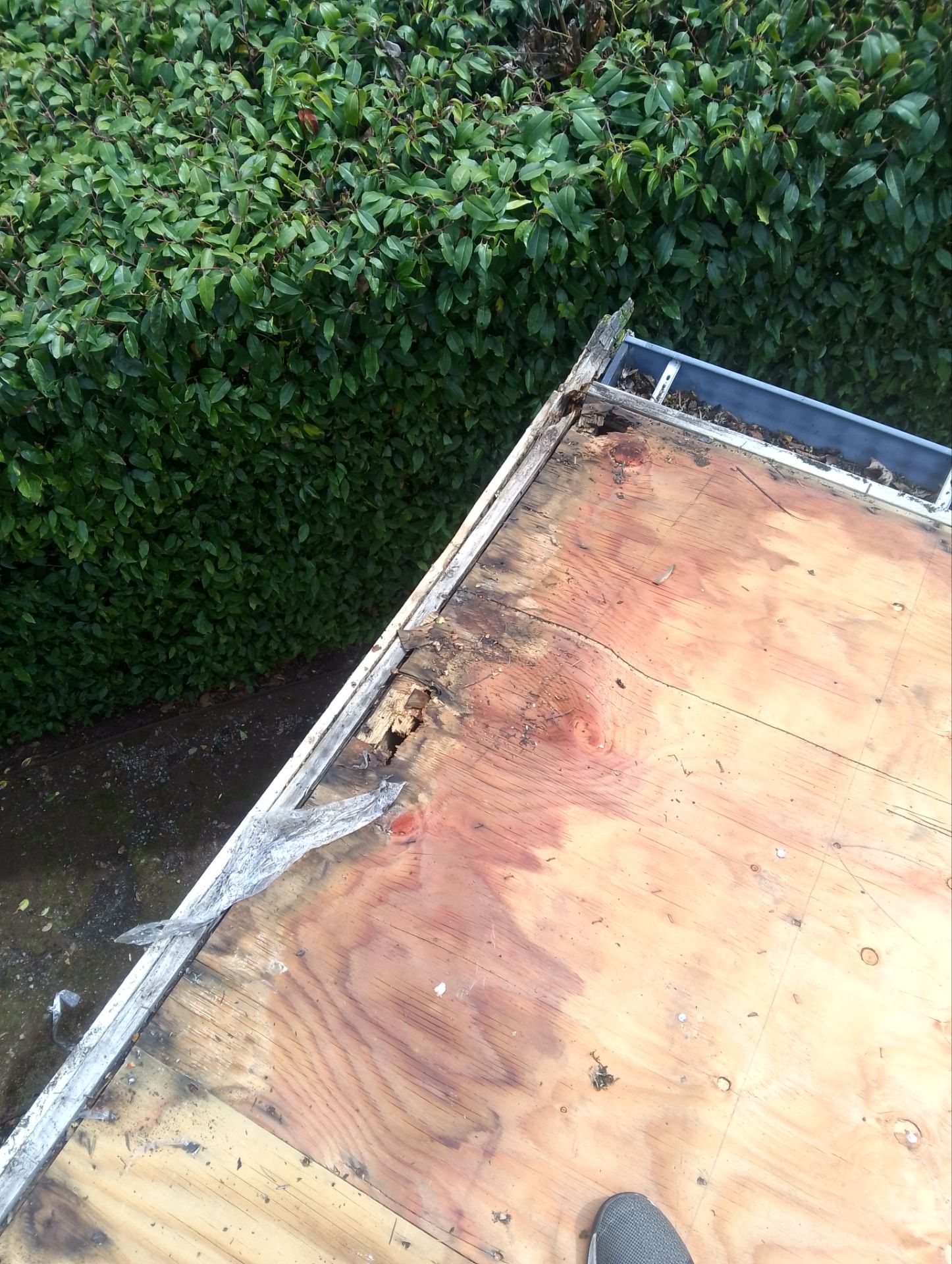 Presidential TL Roof Replacement in Seattle by RoofSmart