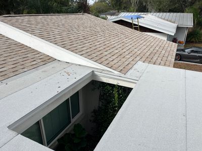 Shingle -> Shingle