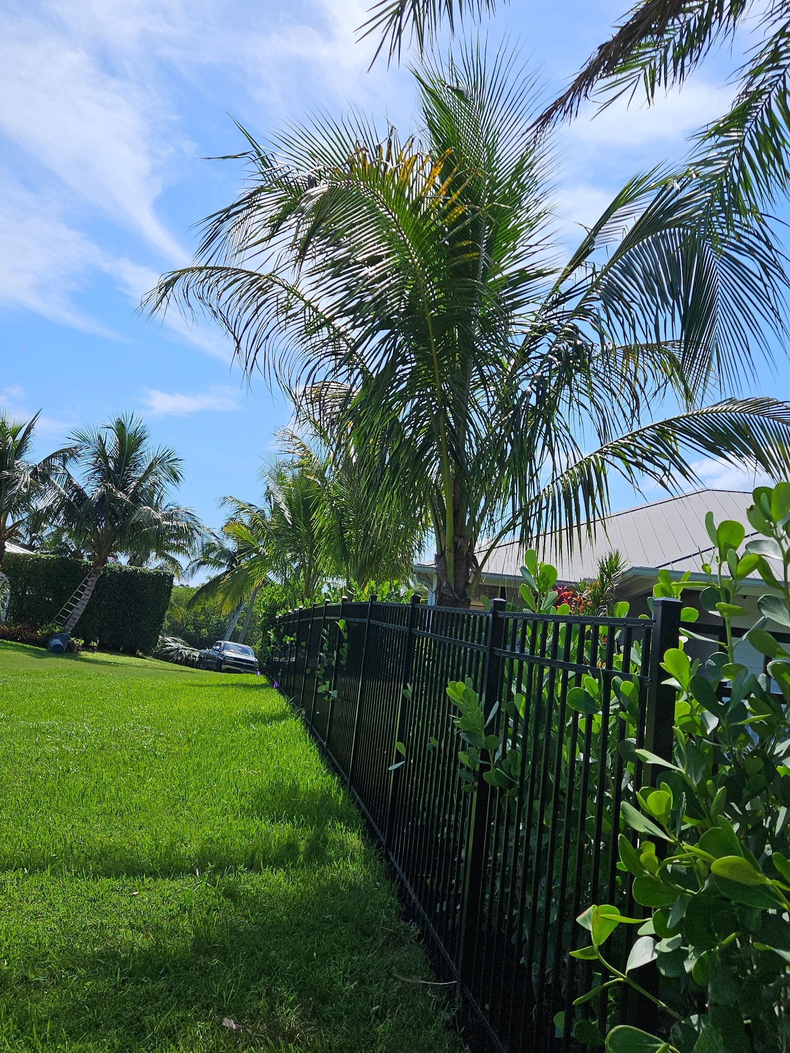 A Tropical Private Escape at Home by Alpha Zeta Enterprises Inc