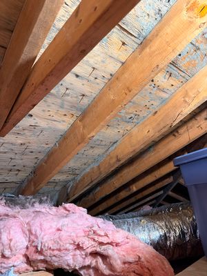 Attic Mold Remediation and Insulation Installation in Ronkonkoma