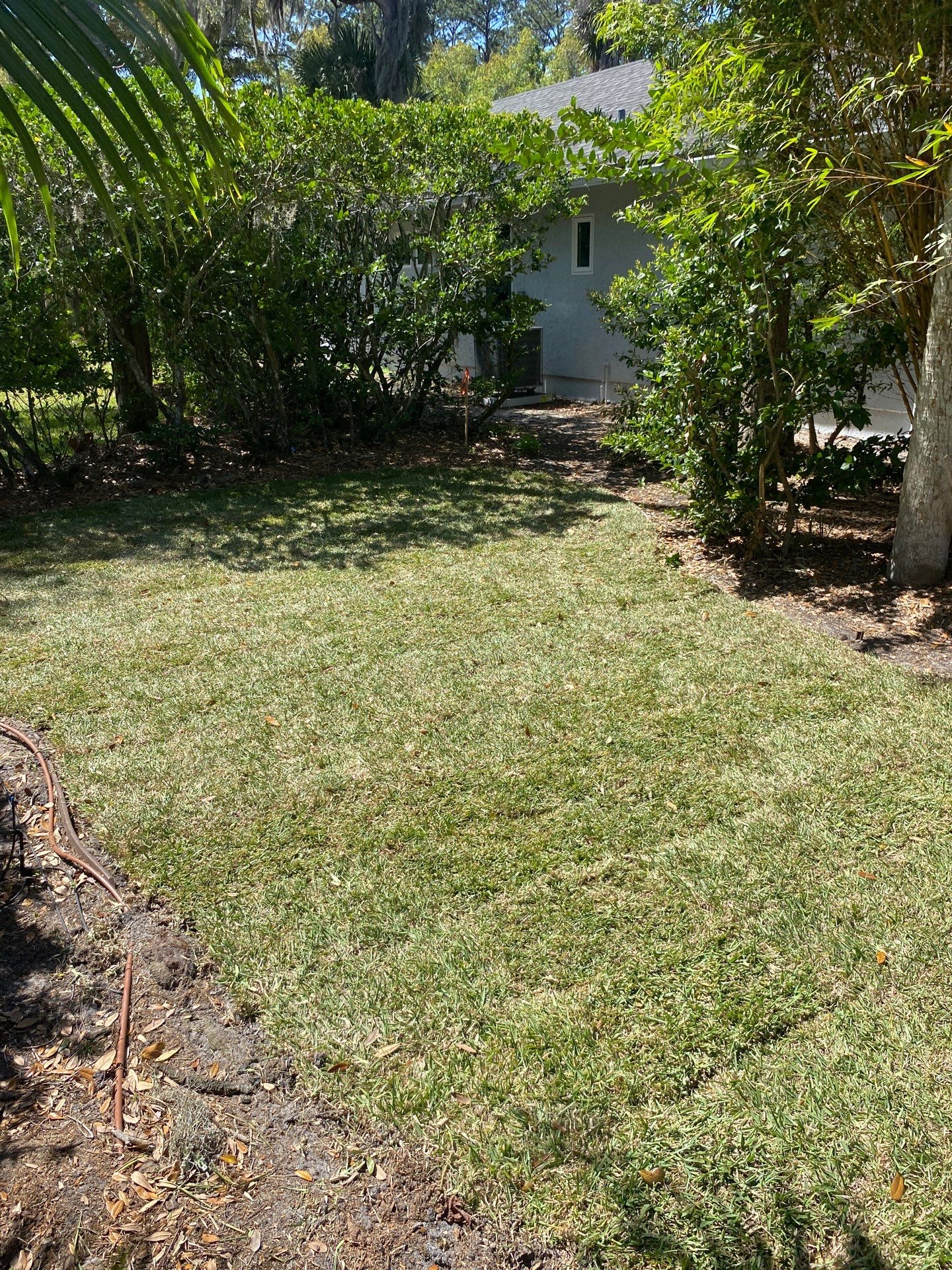 Residential | Sod Installation by ProGreen Services
