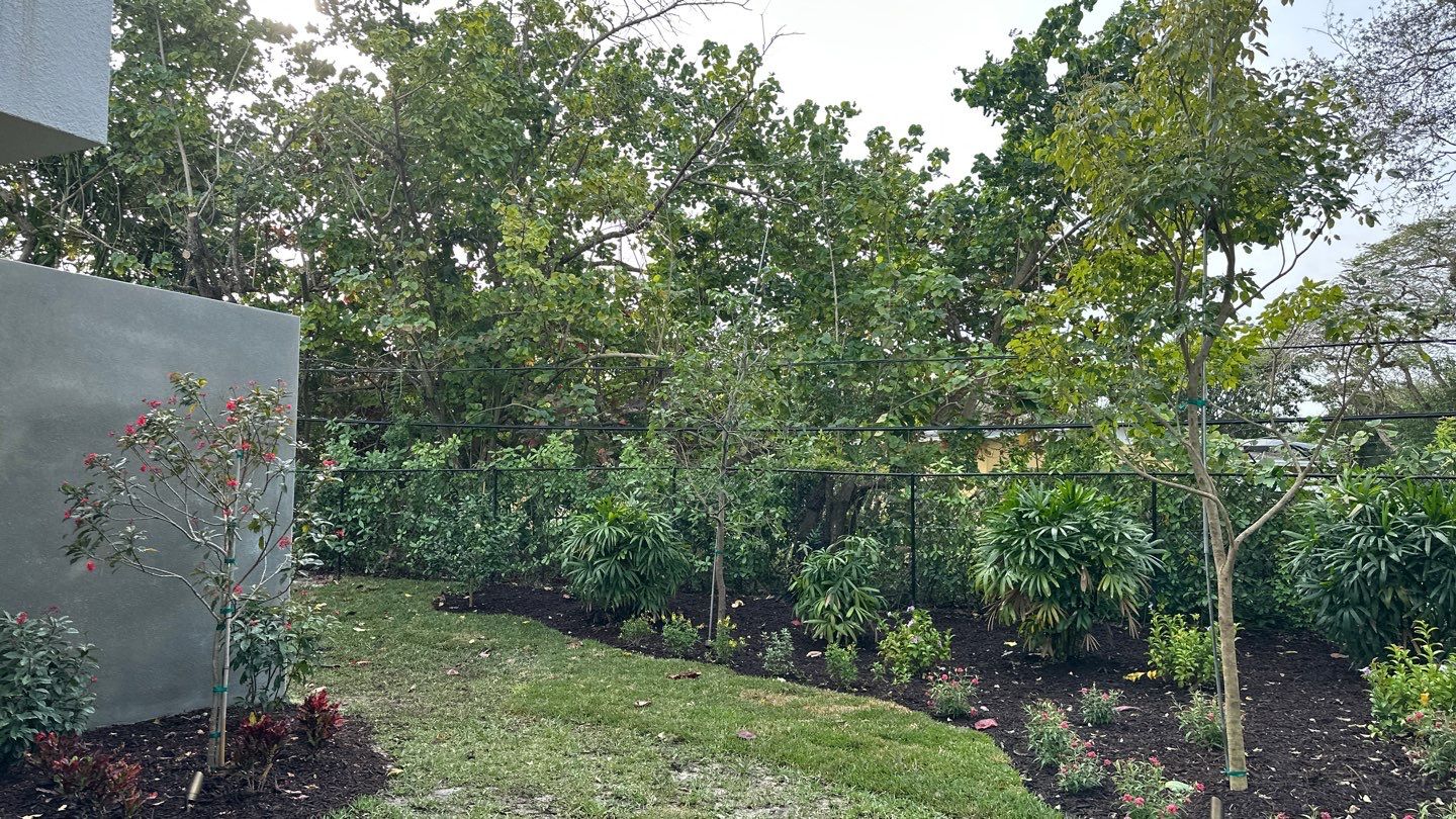 Landscape on New Home in Pinecrest, FL by Nature's Dream Landscape and Tree Service