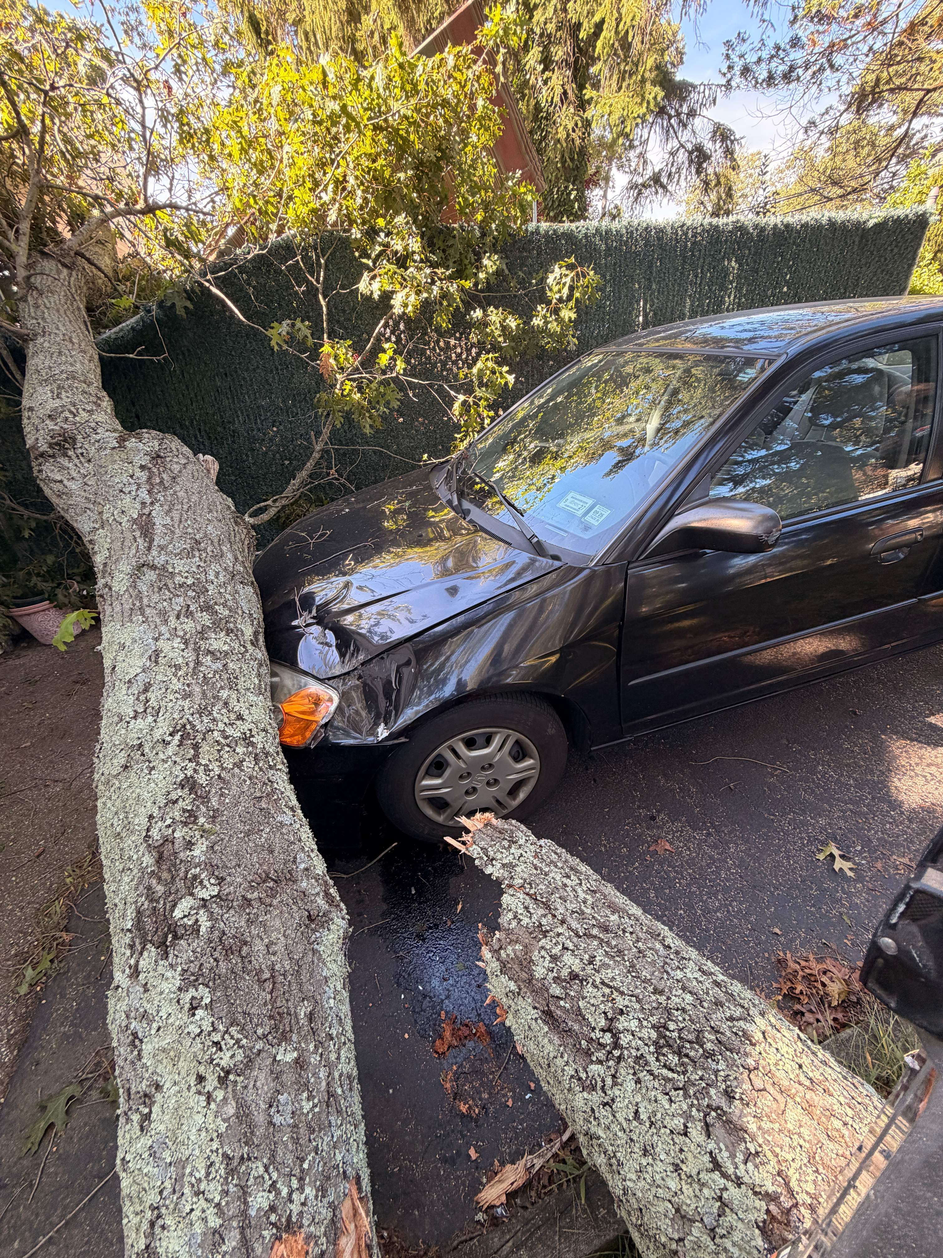 Roof Tarping by Newhouse Restoration
