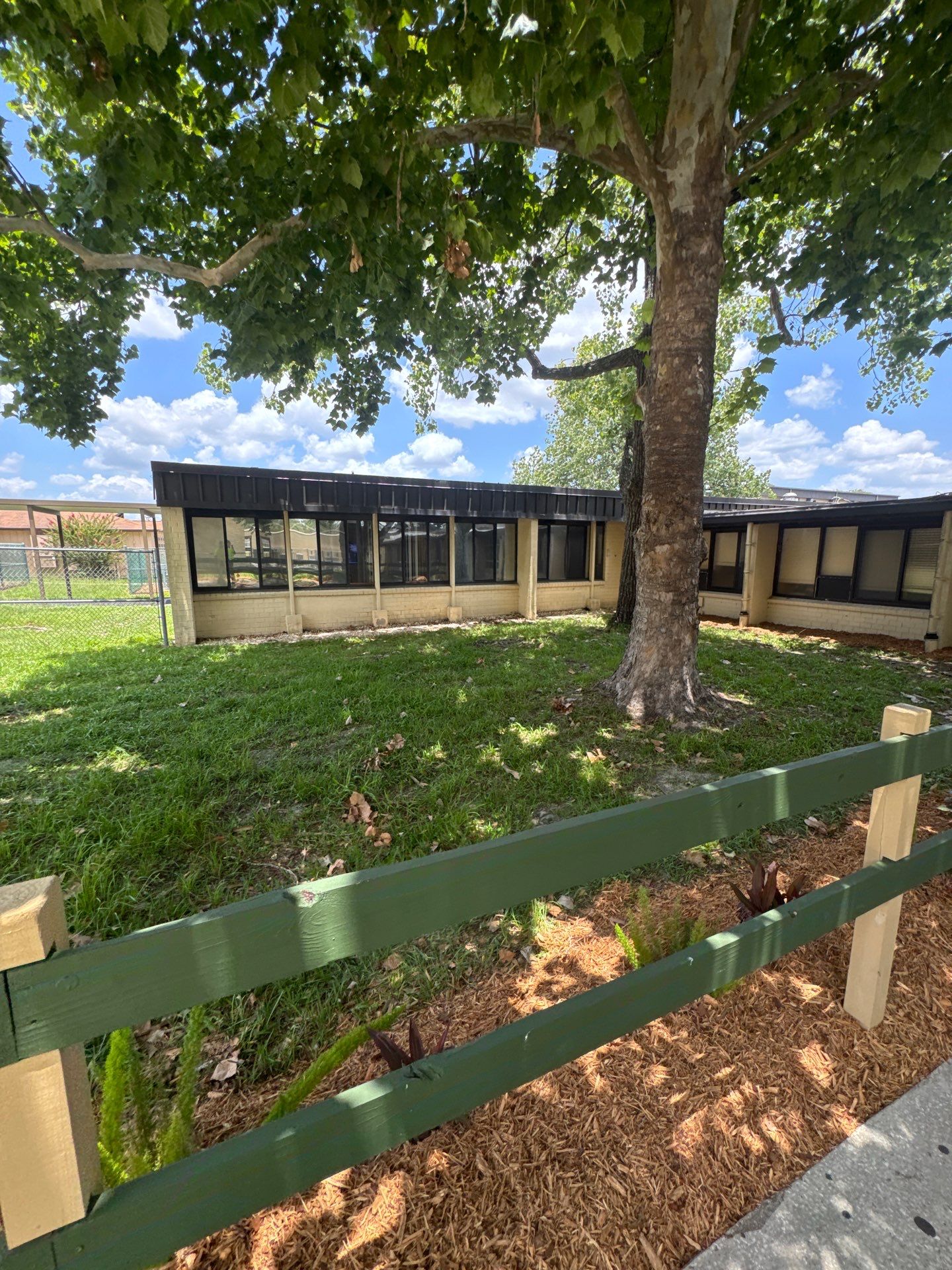 Green Cove Springs Junior High School | Landscape Refresh by ProGreen Services