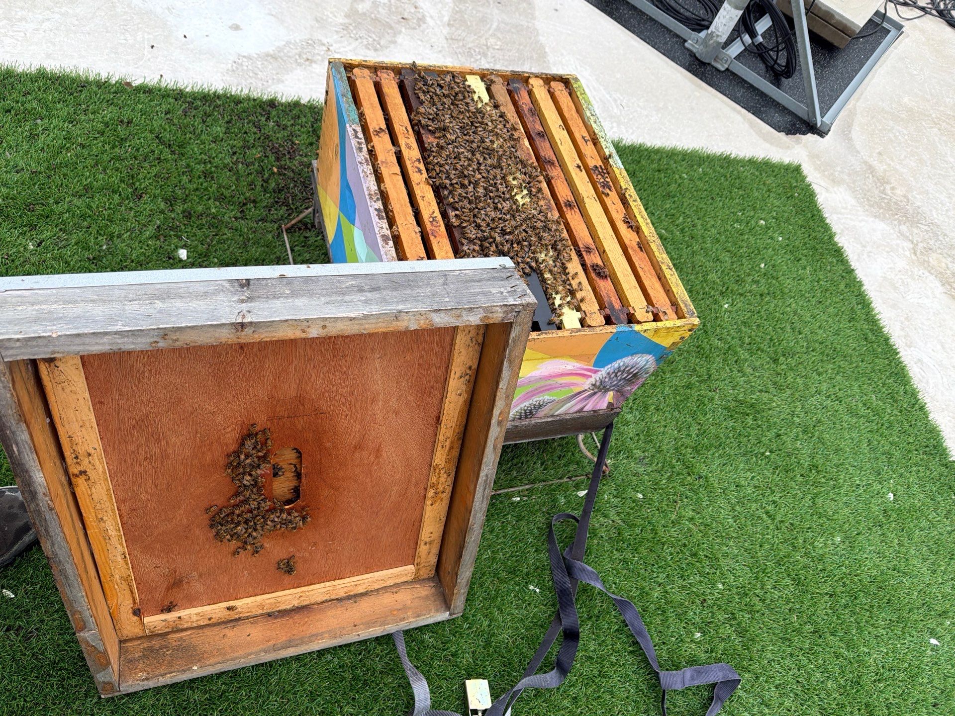 Downtown Dallas by Rockwall Honey Bee Company