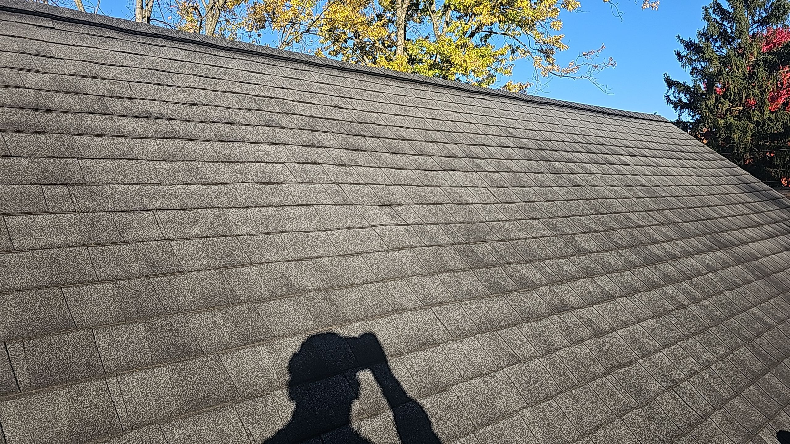 ATLAS PINNACLE COLOR: BLACK SHADOW DRIP EDGE: WHITE by Eagle Eye Roofing