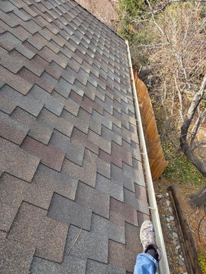 Gutter and Downspout Cleaning