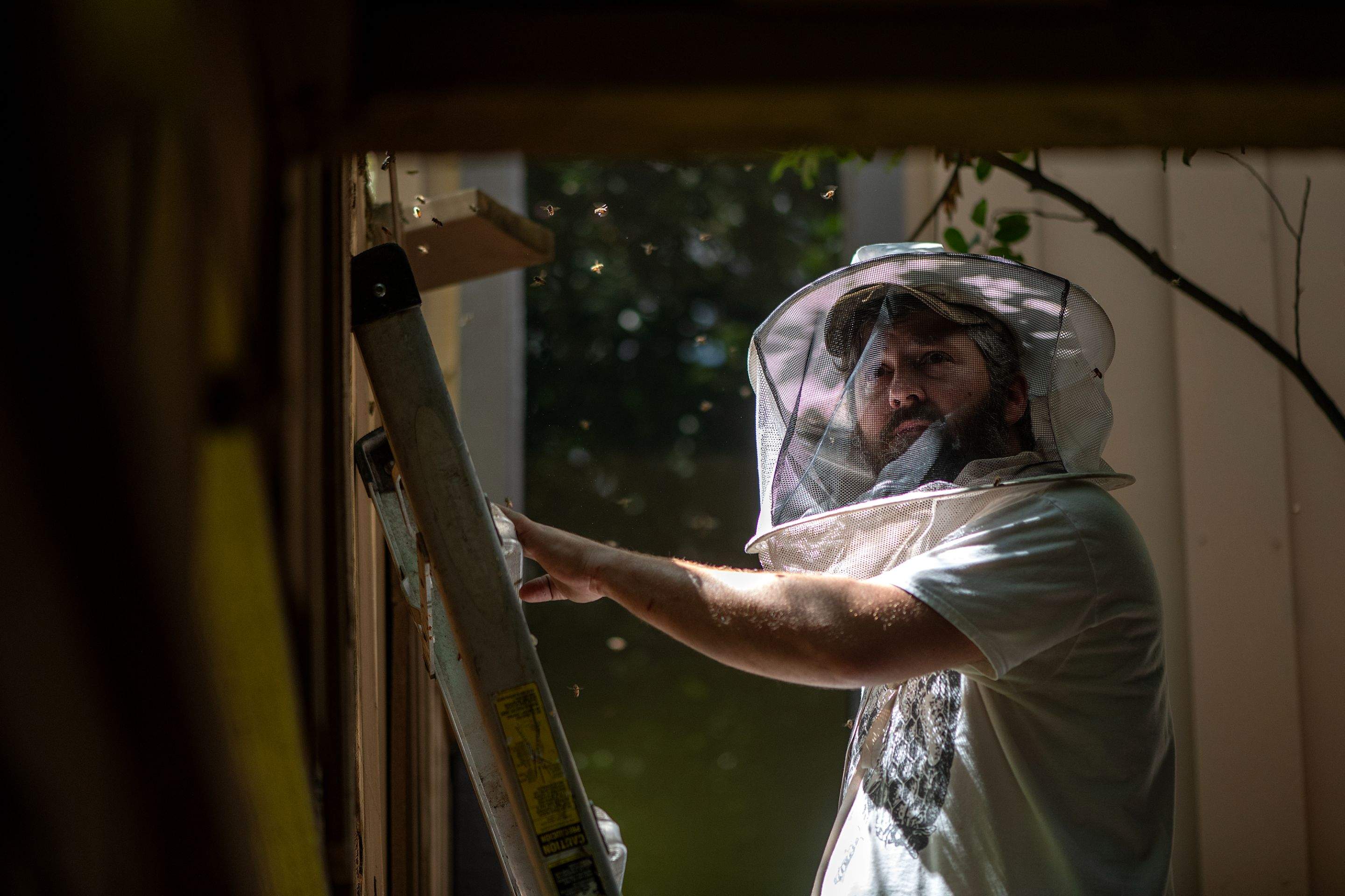 Condo Patio by Rockwall Honey Bee Company