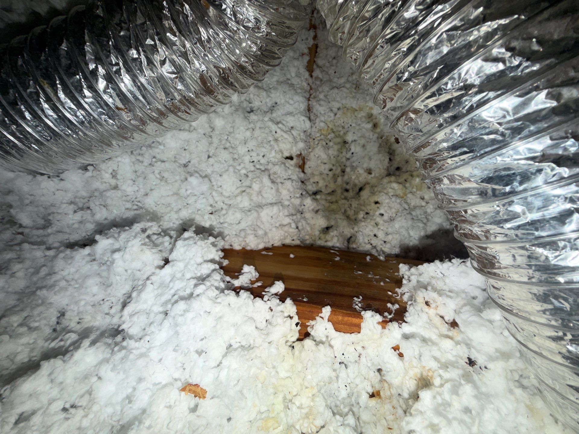 Residential Roof Leak Detection and Storm Damage Assessment in Royse City by Rich the Roofer LLC