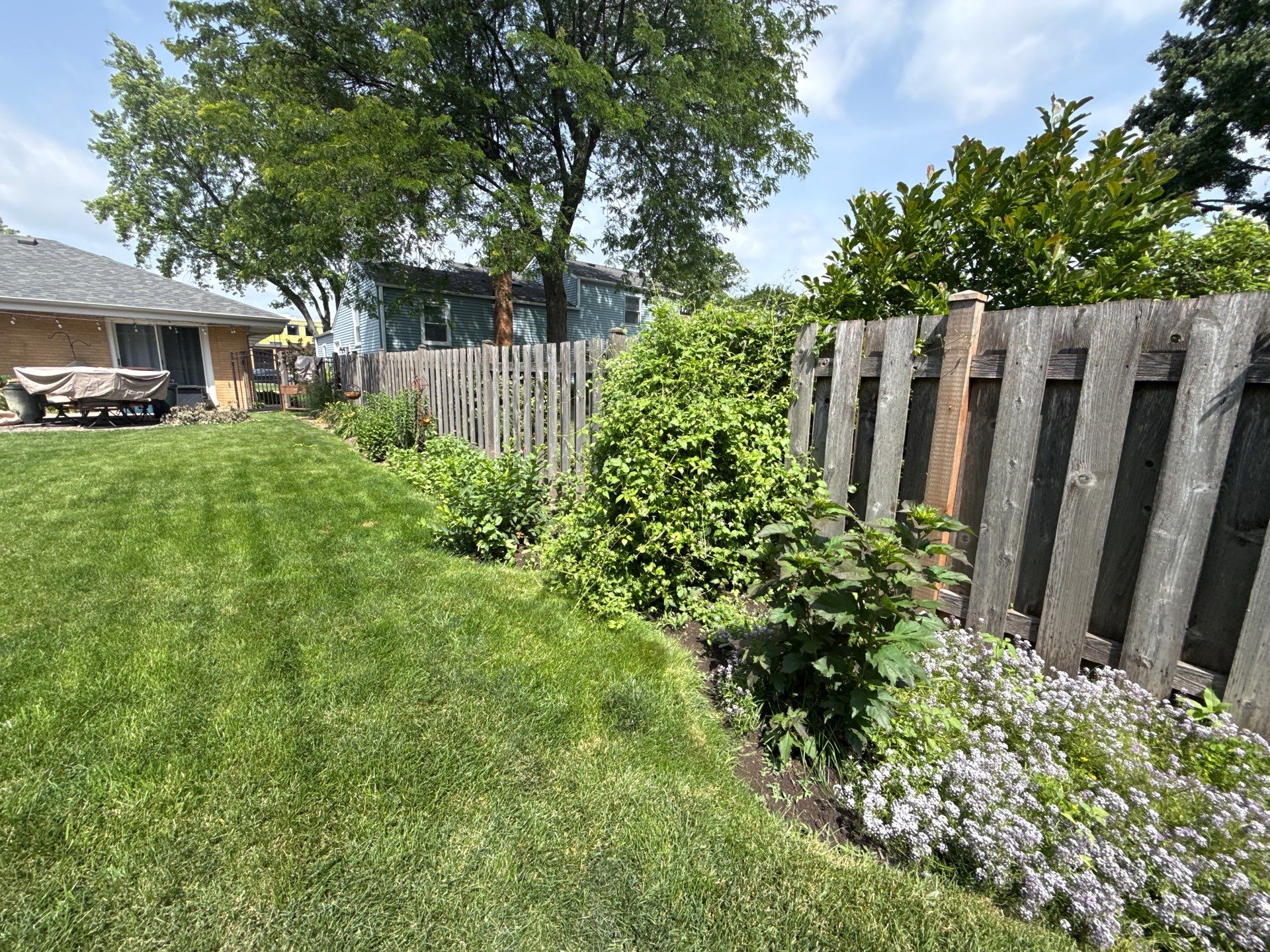 Cheris B. - Mount Prospect, IL by A&N 