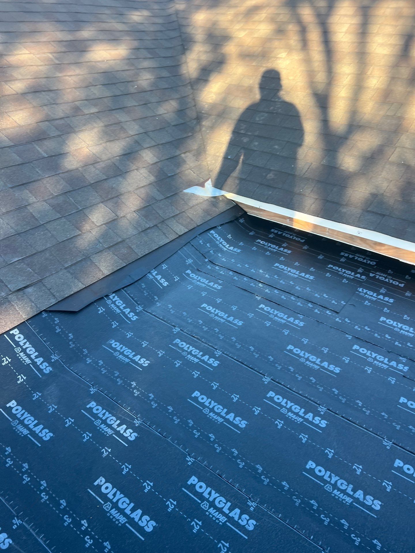 It Ain't Easy getting Shady  by Bayfront Roofing and Construction