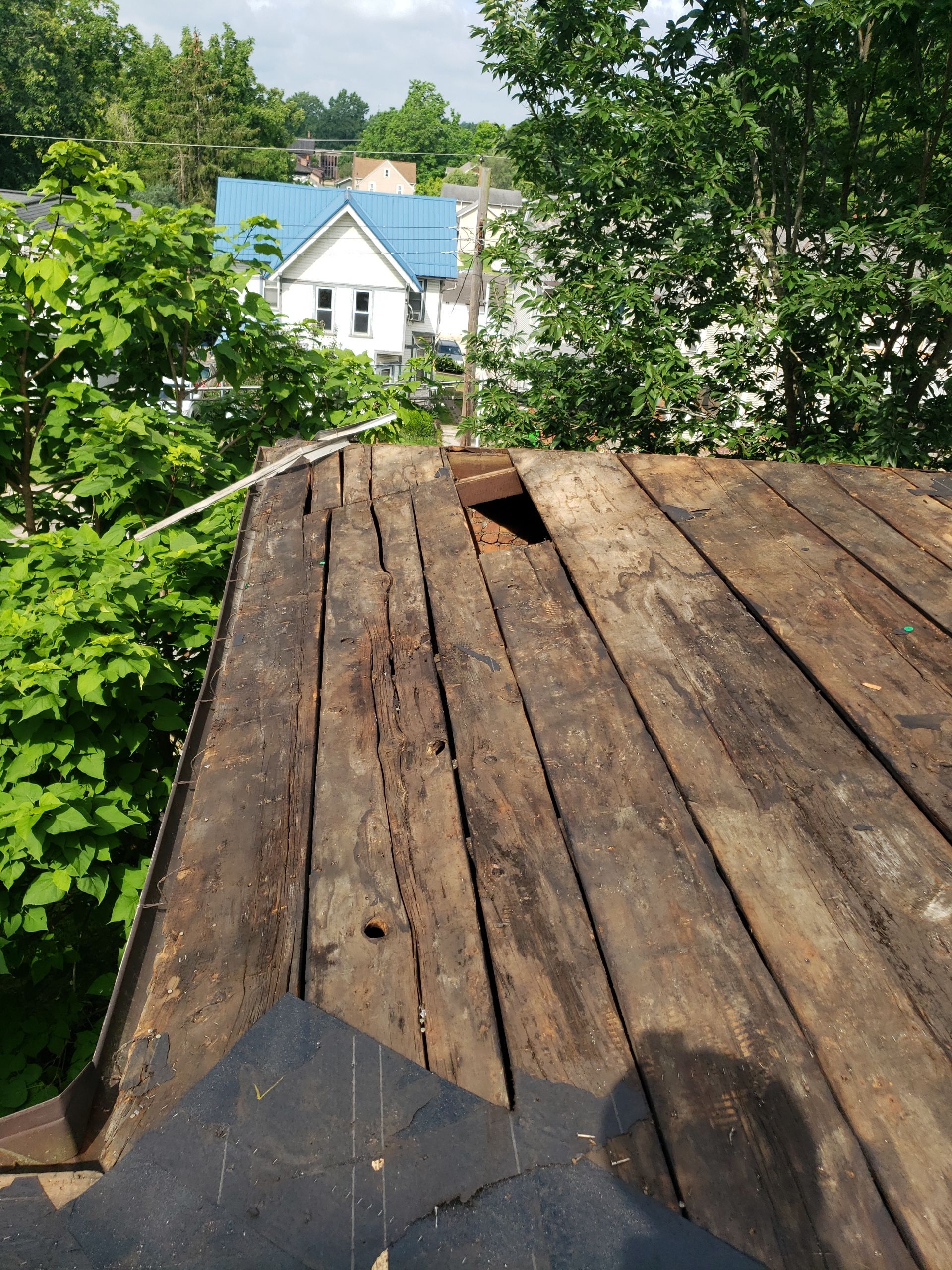 ATLAS PINNACLE COLOR: MAJESTIC SHAKE DRIP EDGE: WHITE by Eagle Eye Roofing