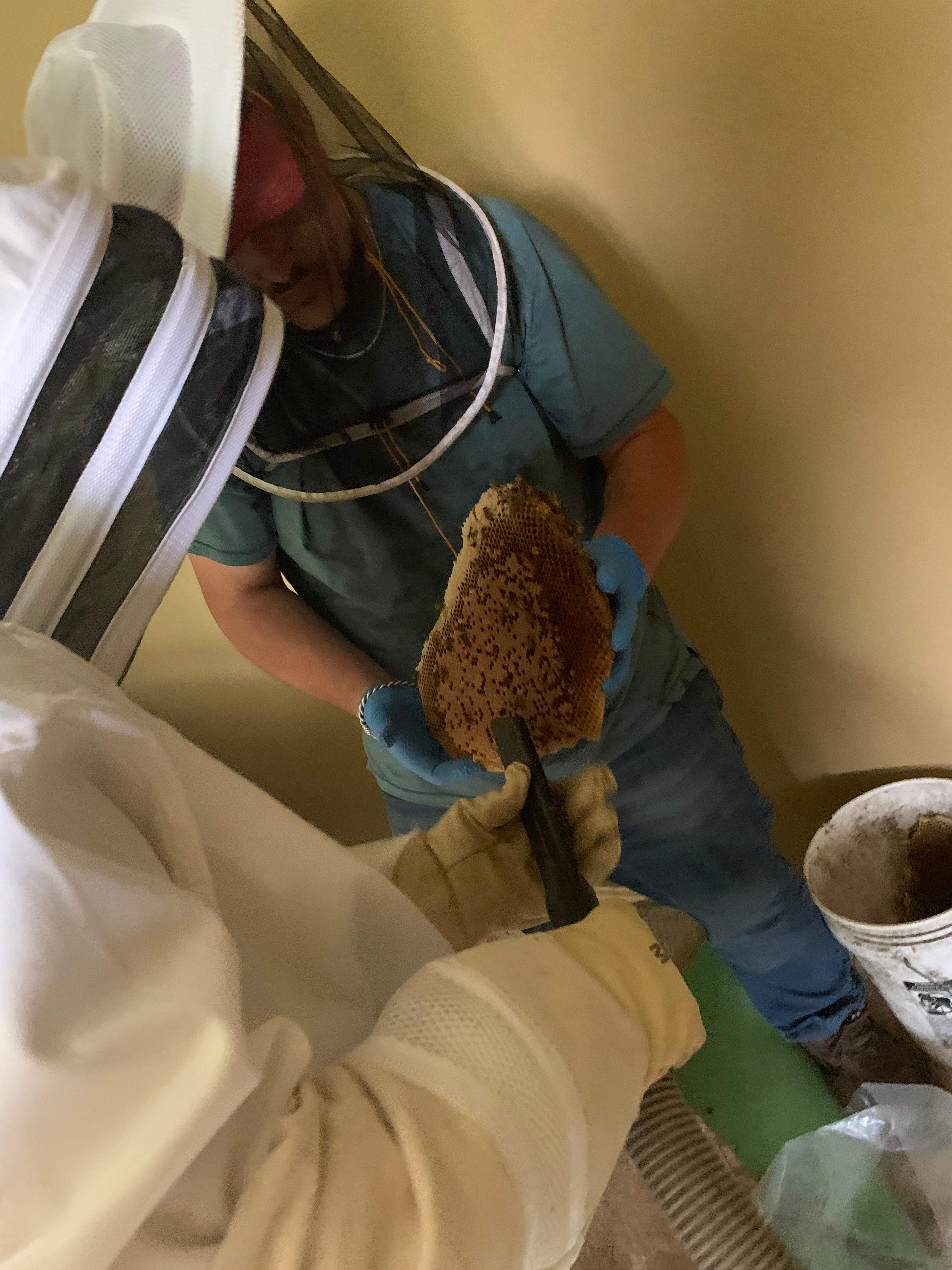 Beekeepers-to-be by Rockwall Honey Bee Company