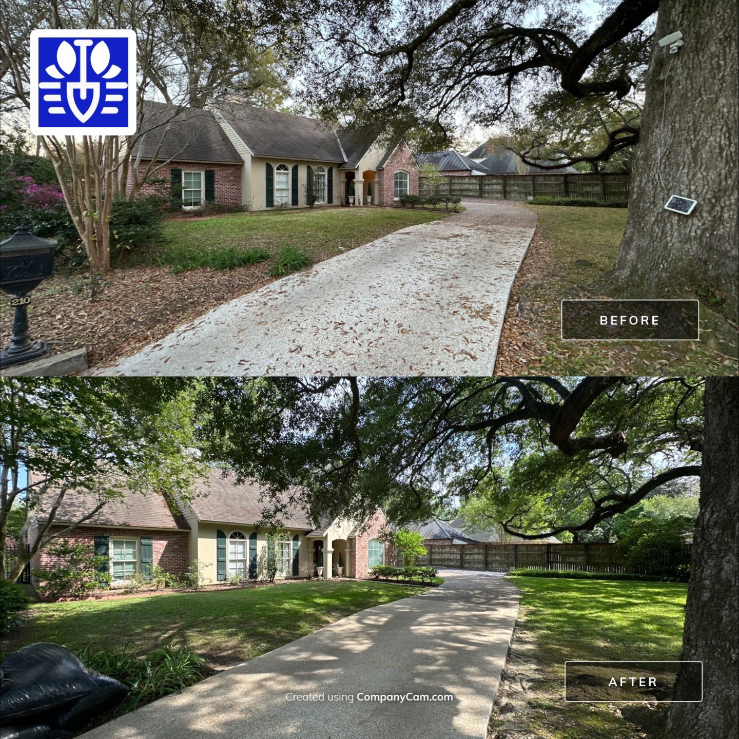 WINTER SERVICES: FULL LEAF JOB using  Leaf Removal by CutScape, LLC.