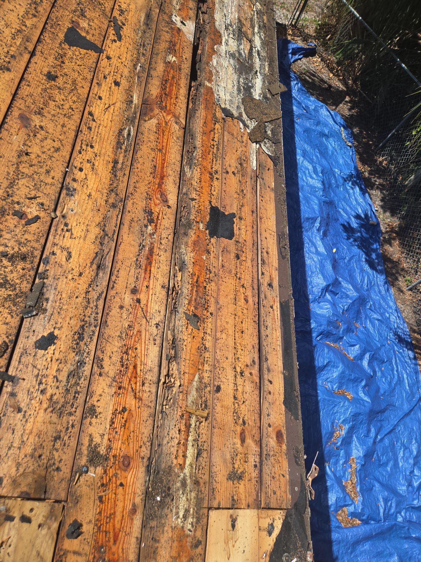 Project in St. Petersburg 33705 by Mitchell Roofing Company LLC 