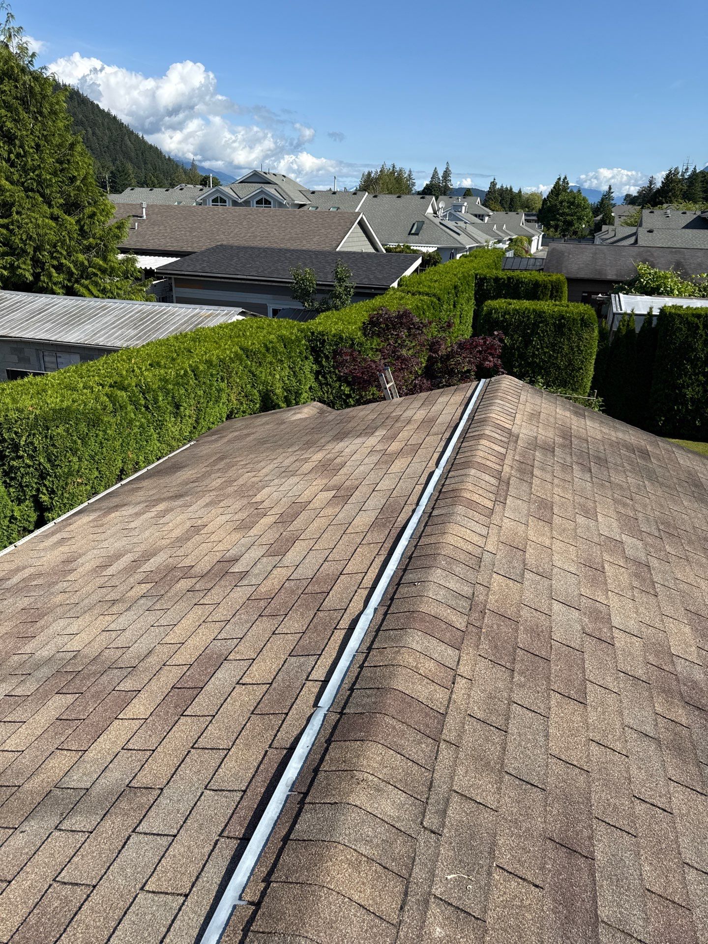 Residential Reroof Shingle - Barkwood by Top Notch Roofing Inc