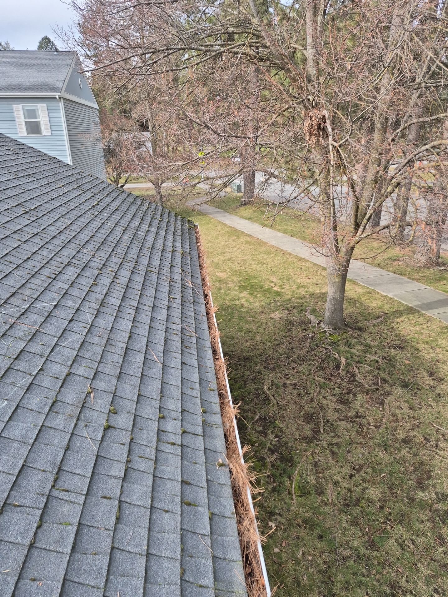 Commercial gutter cleaning Missoula, MT a before photo with filled gutters