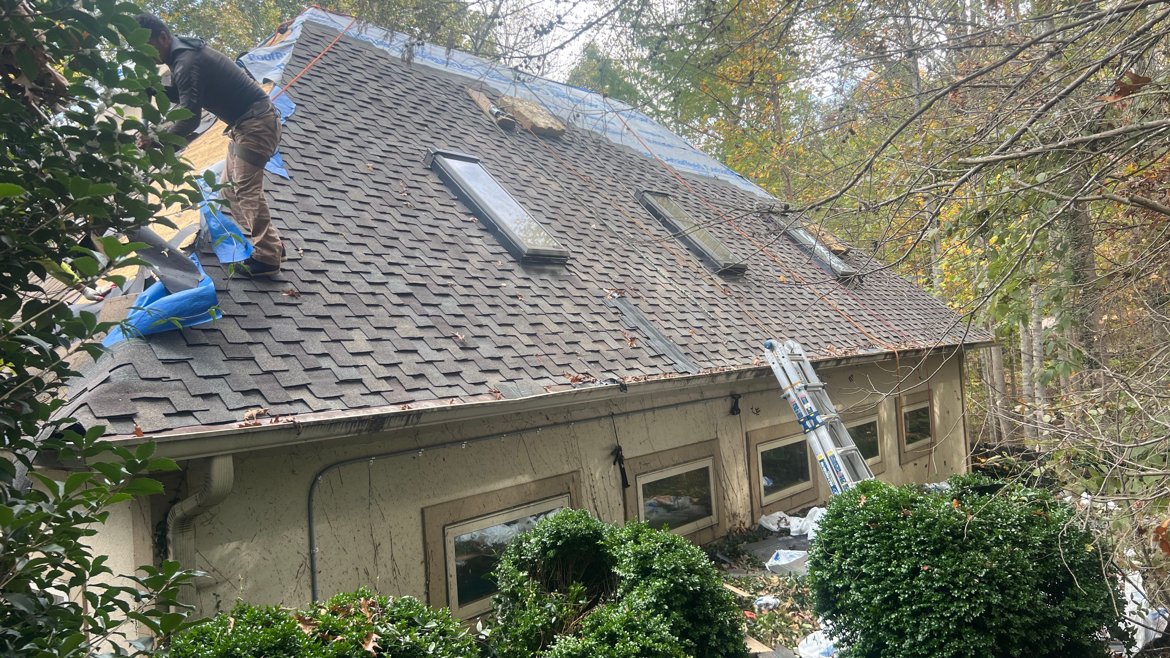 Catherine Cutter by United Contracting and Roofing
