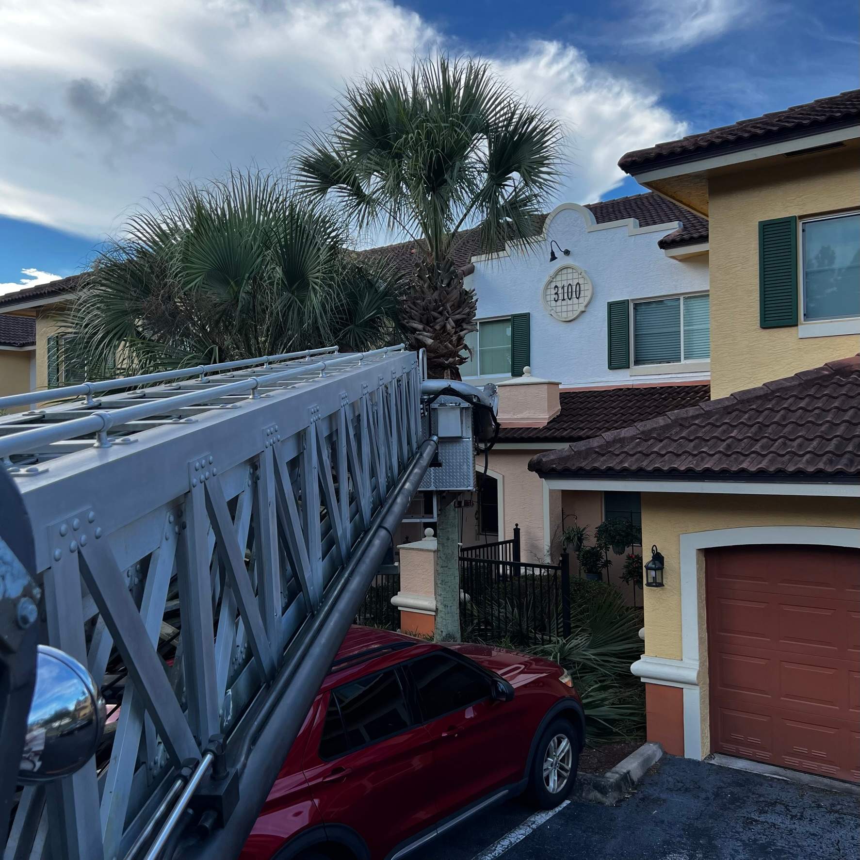 Palm Tree Trimming | IL Villagio Condominiums by ProGreen Services