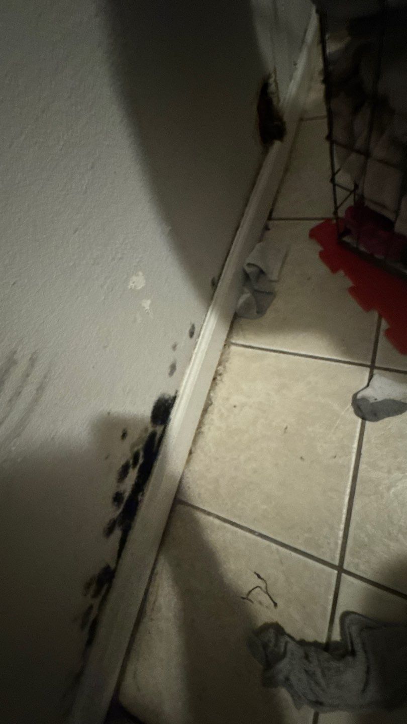 Mold Damage Project in Denver by Accountable Home Services