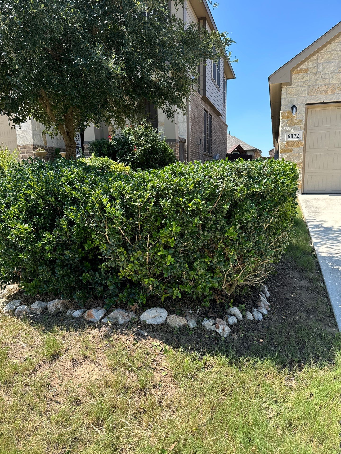 Wortham Oaks - San Antonio, TX by Hole In One Lawns, LLC
