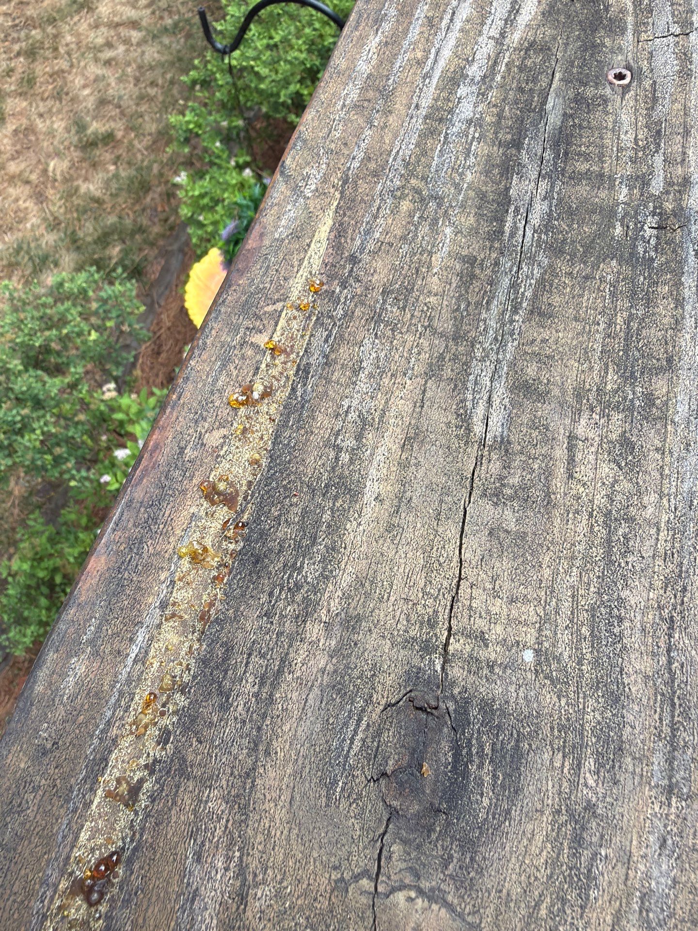 Deck using Wood Sealant by DuraSeal