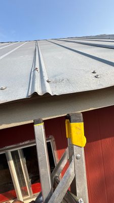 Metal roof panels with ladder in foreground