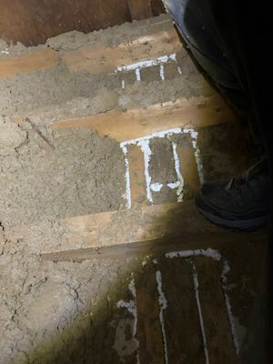 Project in Auburn