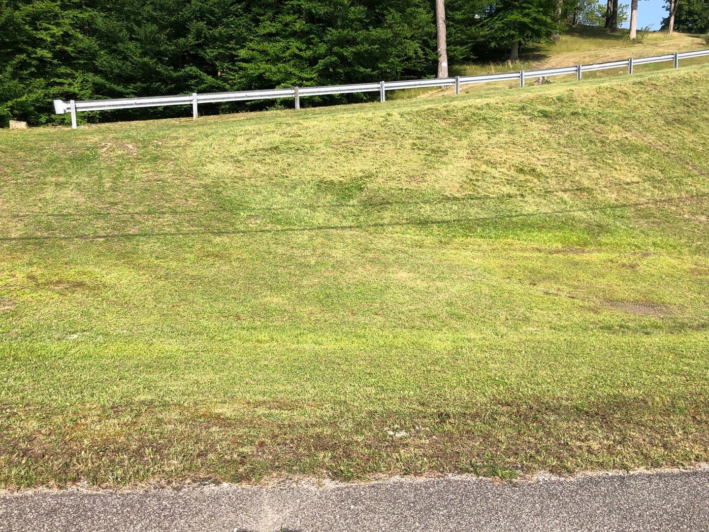 Mowing the impossible  by GrassBusters, Inc.