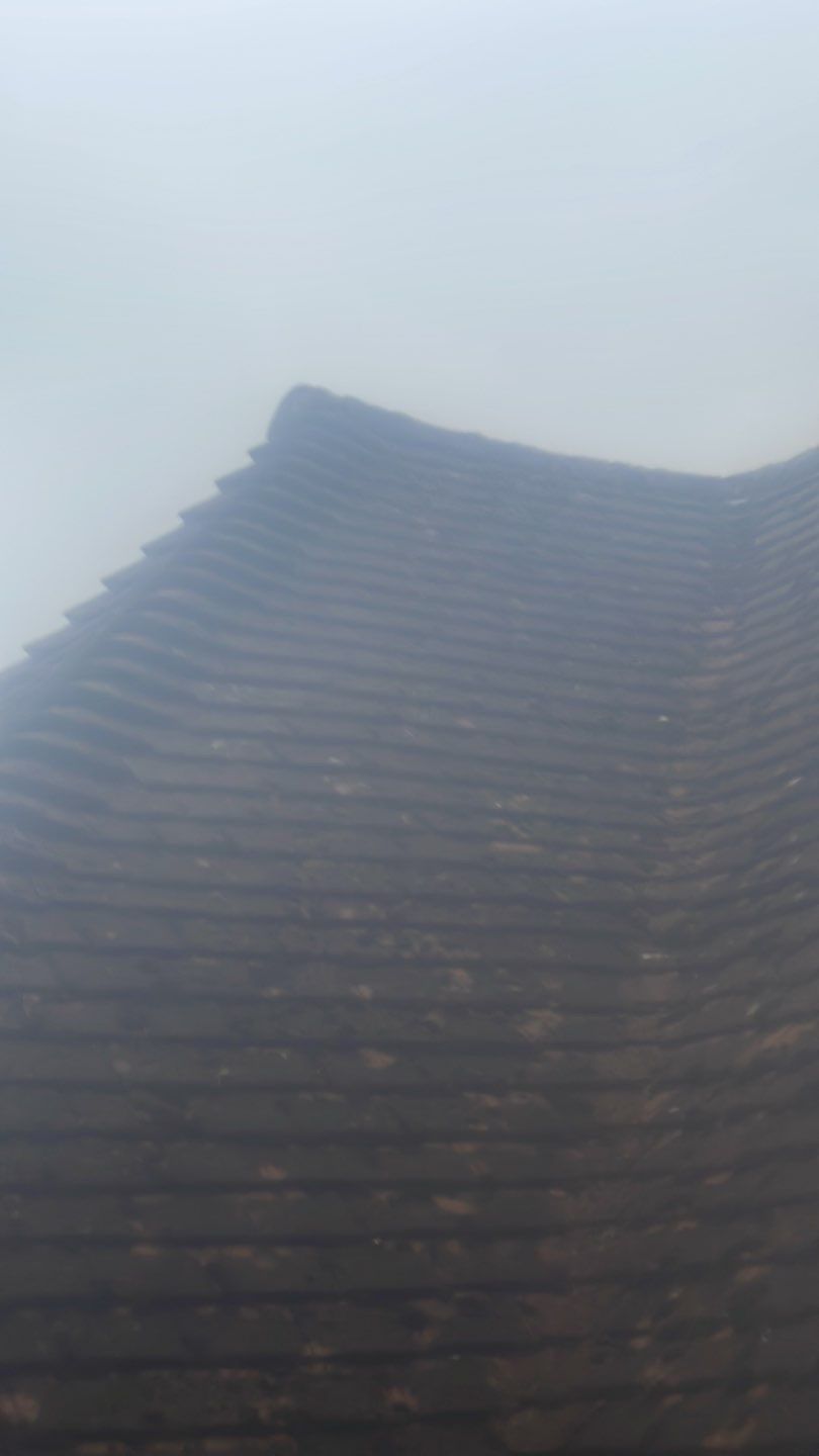 Roof Clean  - Moss Removal - Gutter Clean by Ges Exterior Cleaning ltd
