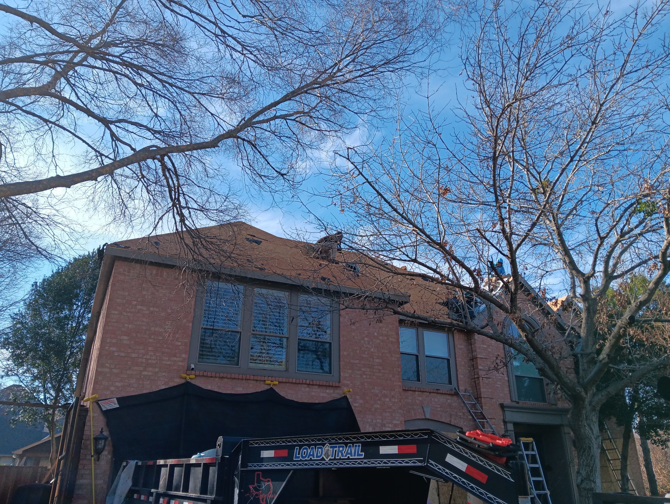 Impact Resistant Shingle  by Tex-Line Roofing