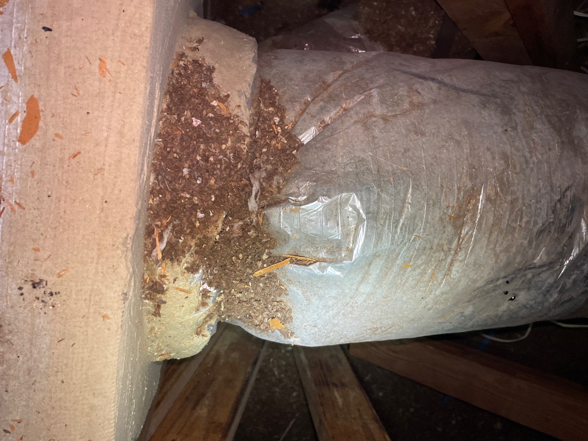 Attic Duct Connections & Exhaust Inspection in Clermont by Hygienic Air, Inc