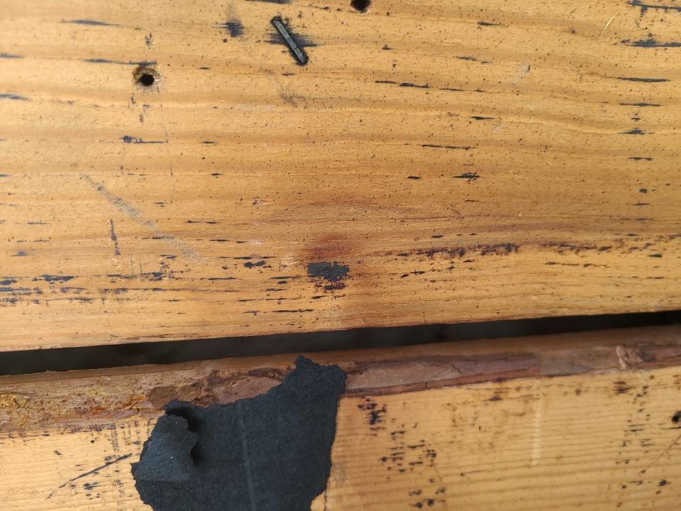 Arlington: CertainTeed Landmark Architectural Shingle in Georgetown Gray by RM Banning, Inc.