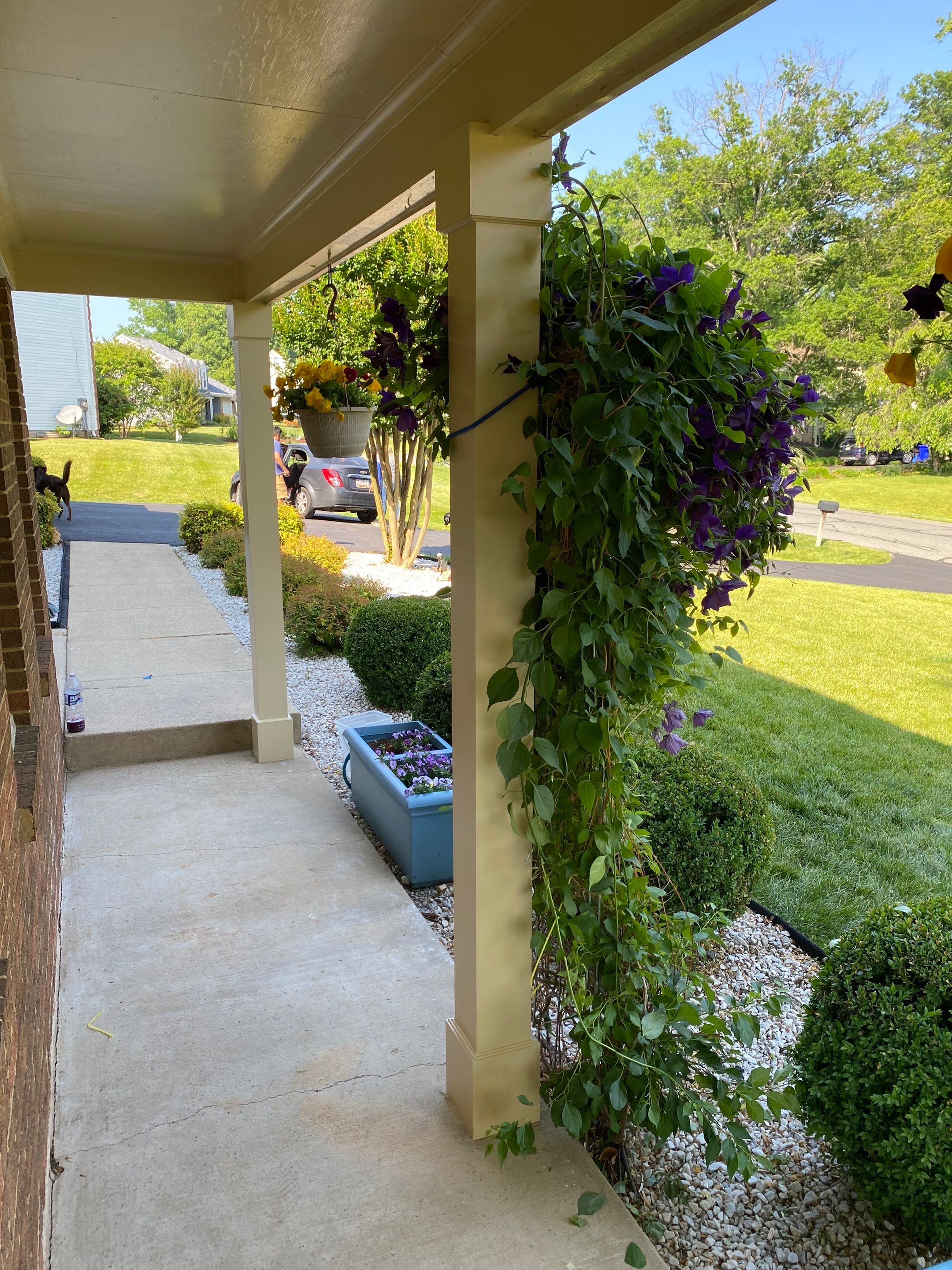 New Bilco doors to basement & new front porch posts by The Smet Companies, LLC