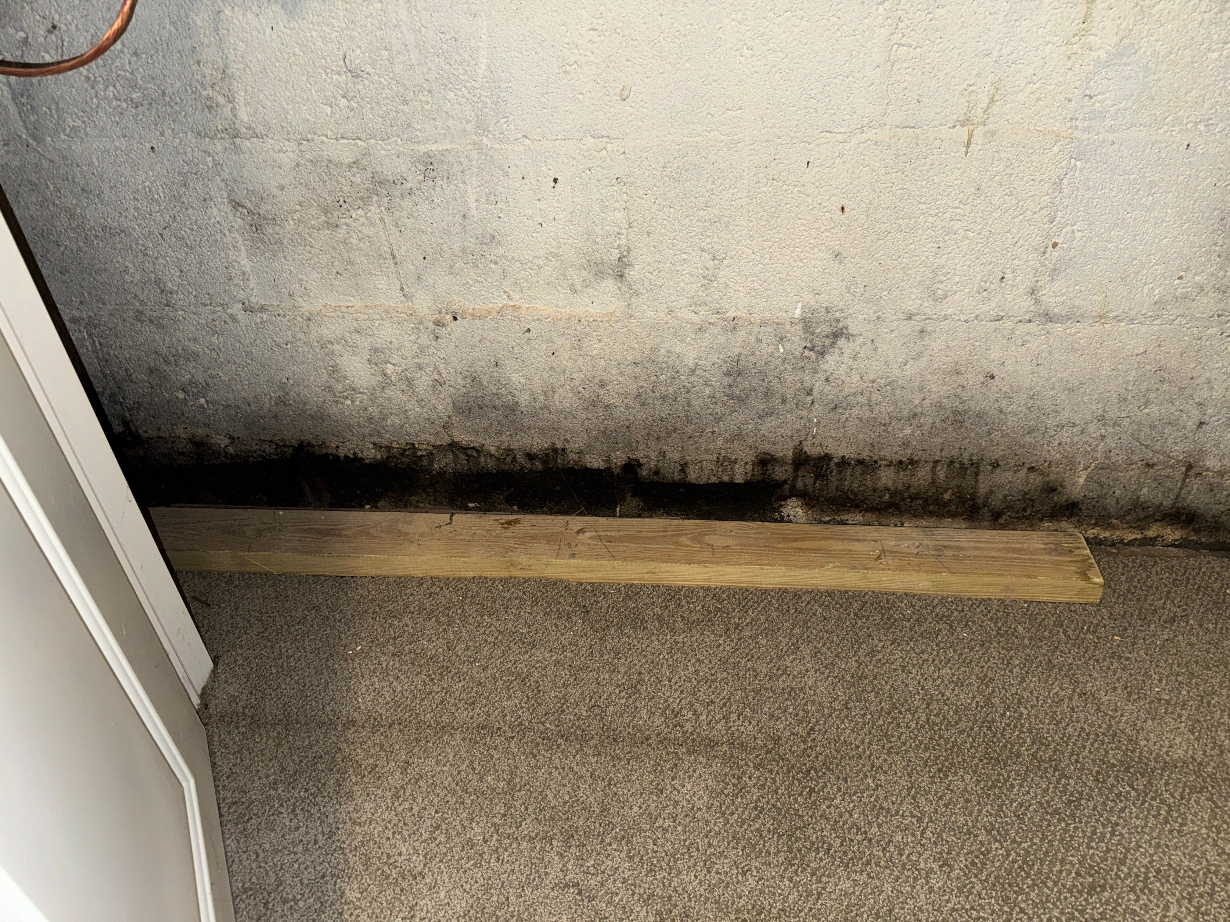 Interior French Drain Livingston NJ by Pure Service Pro, LLC 