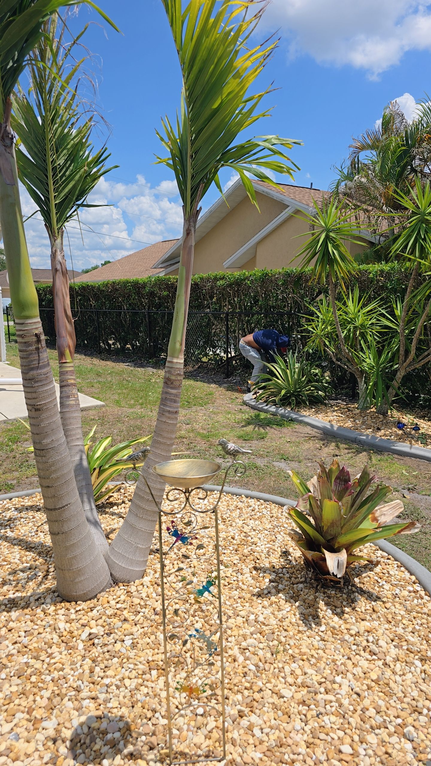 Chain Link Fence in Punta Gorda by True Fence LLC