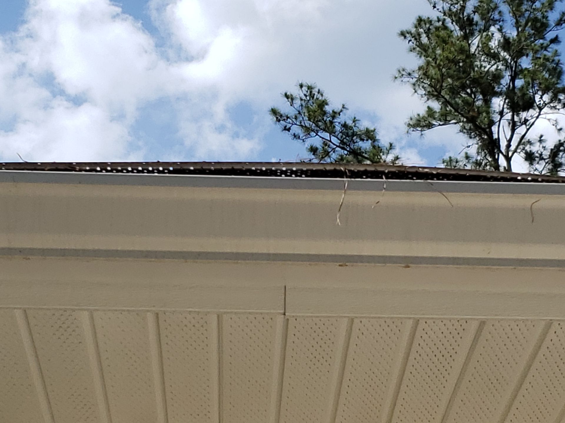 True Force Roofing featured photo.