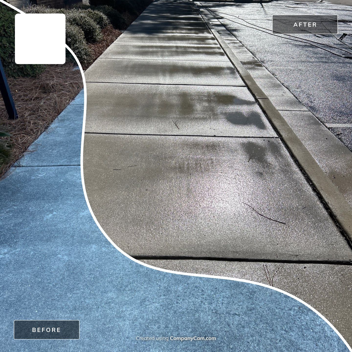 Concrete Cleaning in Hampstead by Shark Power Washing