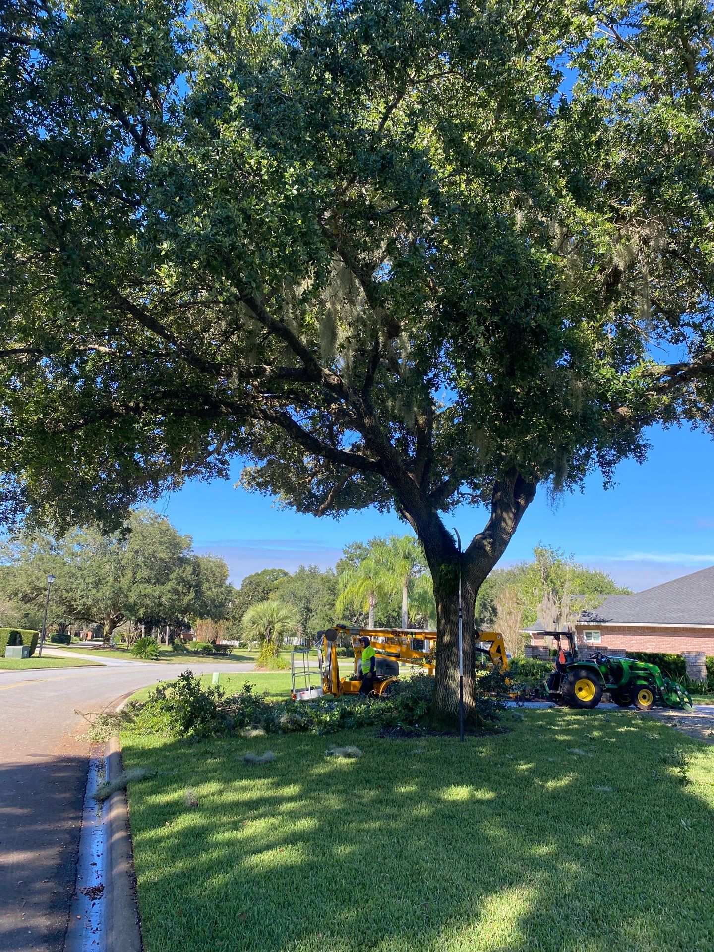 Deerwood | Tree Trimming & Sod Install | Residential by ProGreen Services