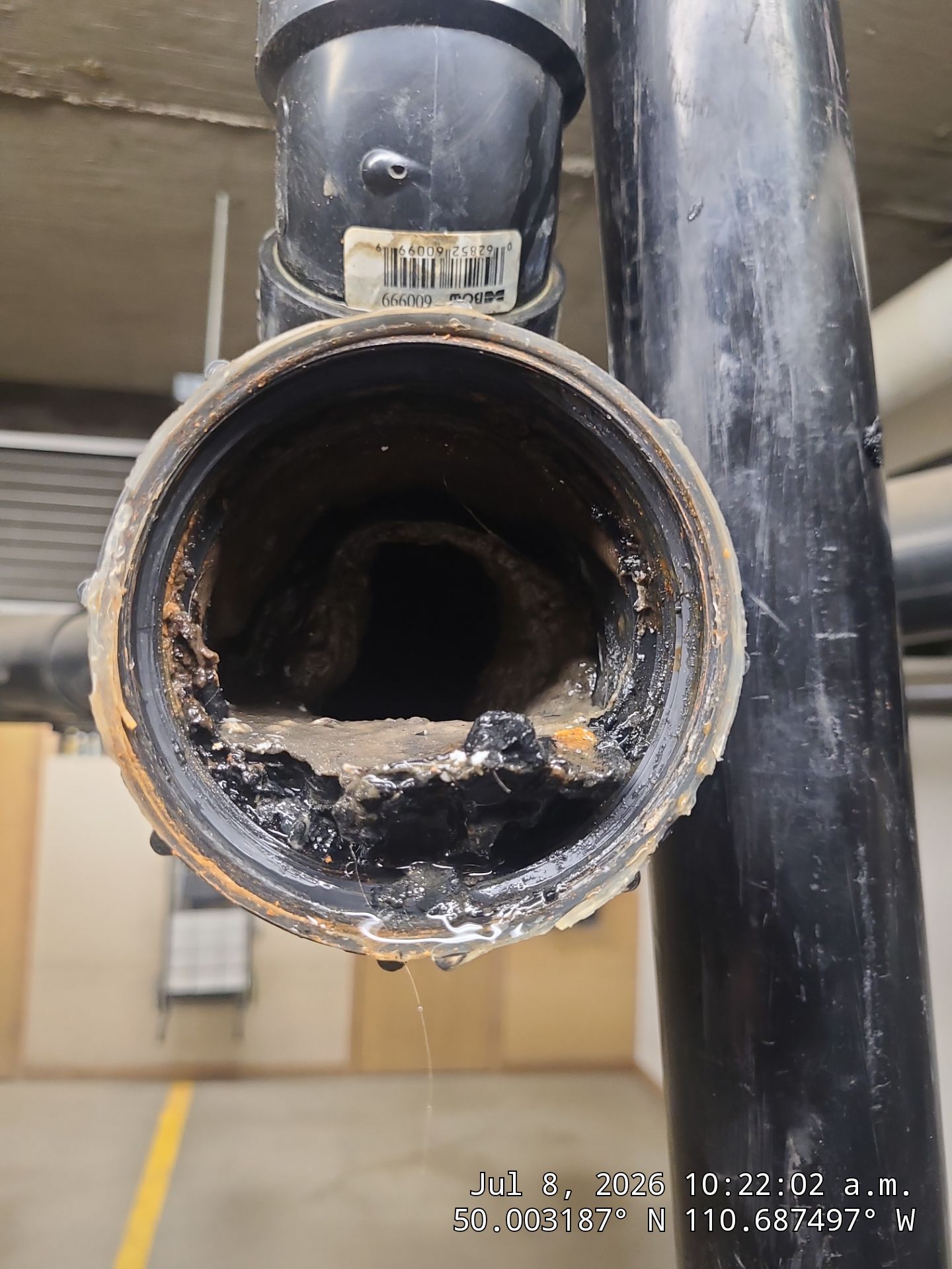 Multi-Story Condo Drain Line Cleaning and Stack Flushing in Medicine Hat by Septic Medic Inc.