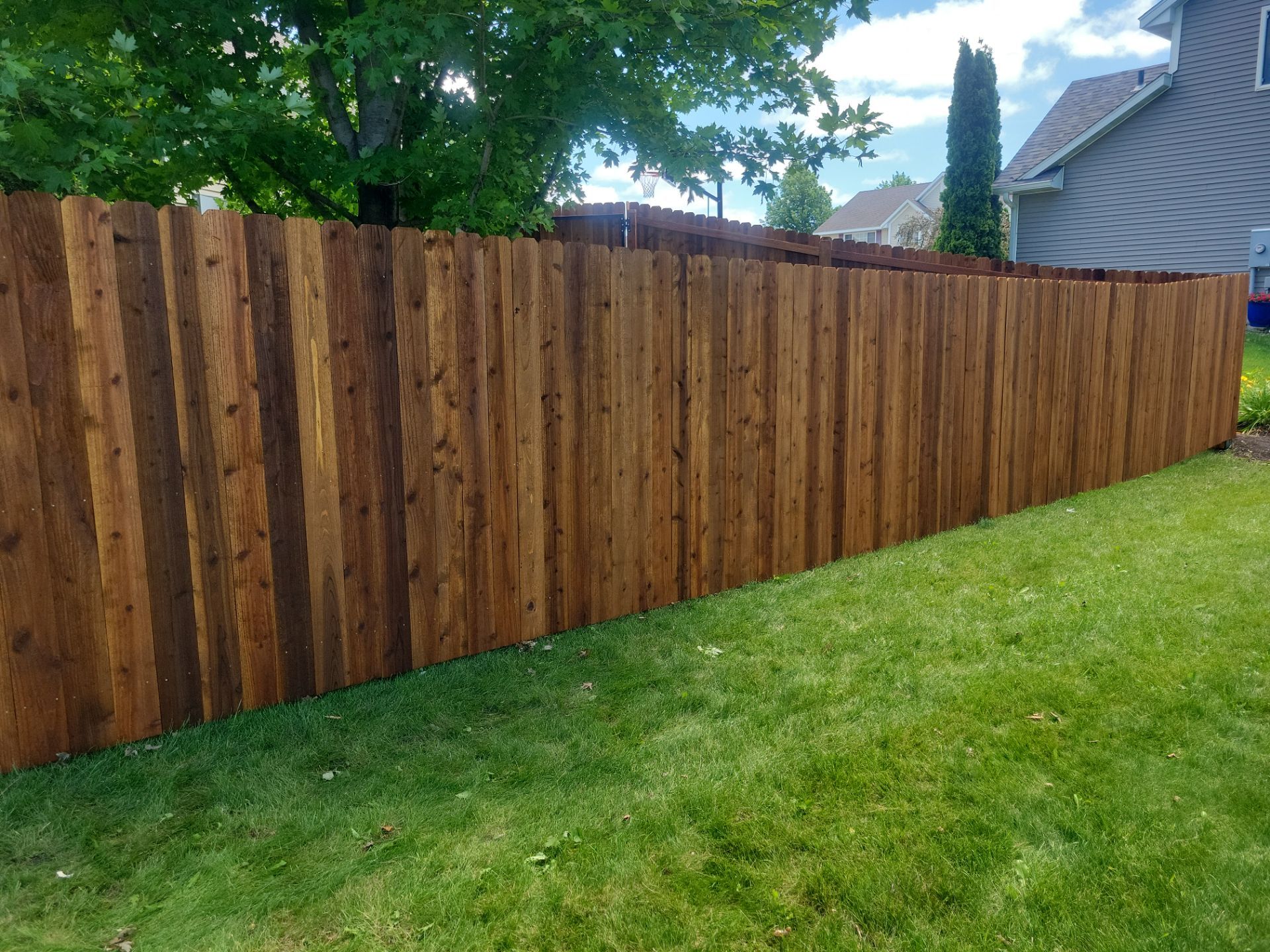Project in Cedar by Perfect Picket Fence and Stain